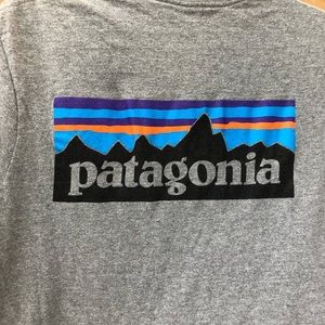 Patagonia tee